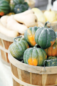 Perfect Pumpkins & Savory Squash Image